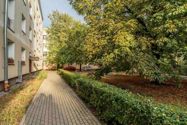 Okazja! 2 ustawne pokoje w topowej lokalizacji