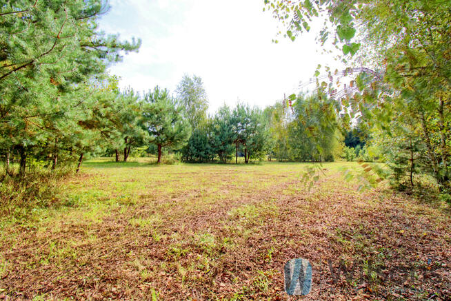 Dom Dziektarzewo gm. Baboszewo,