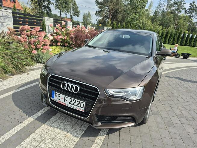Audi A5 xenon led navi chromy ładny lift