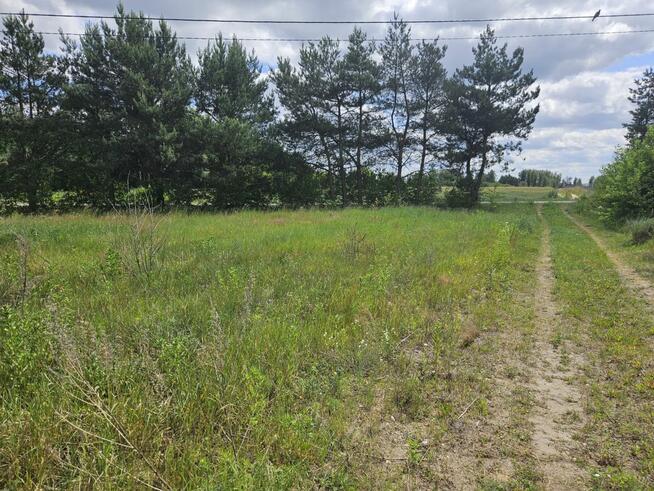 Działka budowlana Stare Wrońska gm. Załuski,