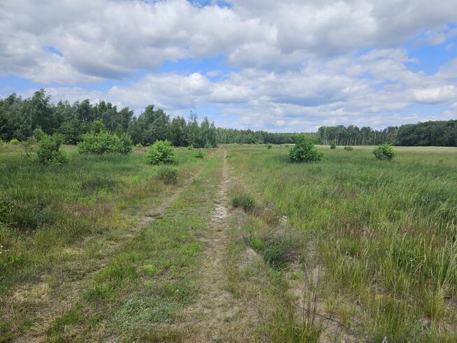 Działka budowlana Stare Wrońska gm. Załuski,