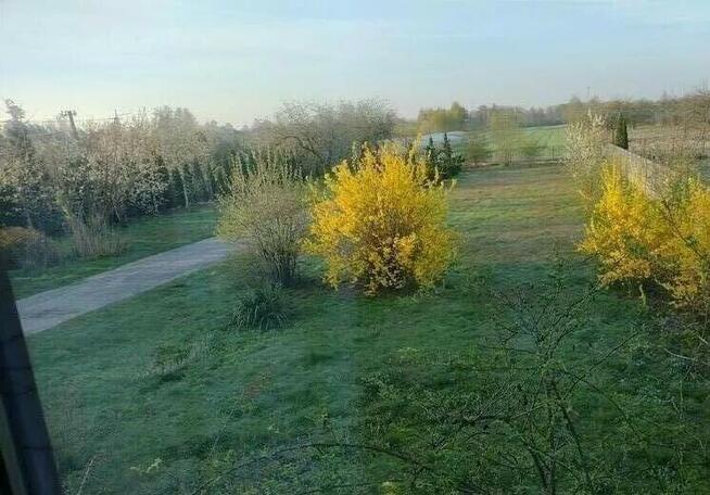 Dom Rusinów, Opoczyńska