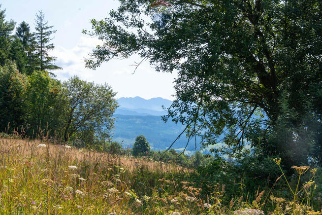 Twój kawałek natury z widokiem na Tatry