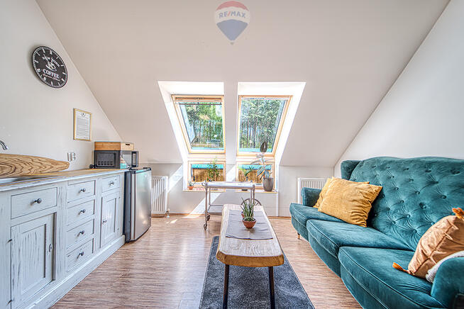 Doskonała okazja dla koniarzy i nie tylko!