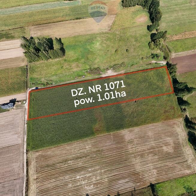 Działka siedliskowo-rolna 1ha – Rębków k/Garwolina
