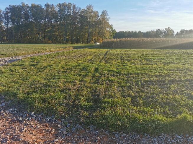 Działka rekreacyjna Ćwiklice gm. Pszczyna