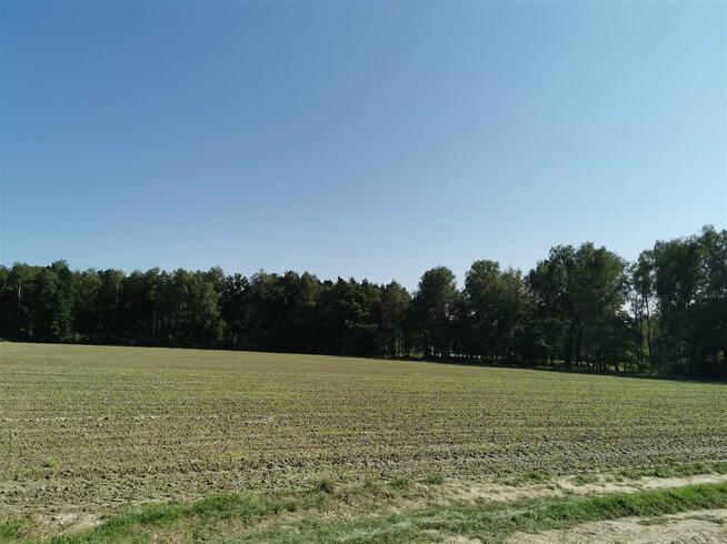 Działka rekreacyjna Ćwiklice gm. Pszczyna