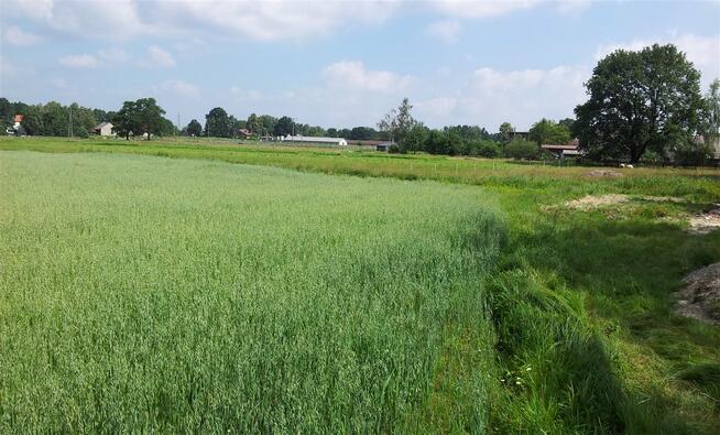 Działka budowlana Pszczyna