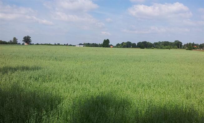 Działka budowlana Pszczyna