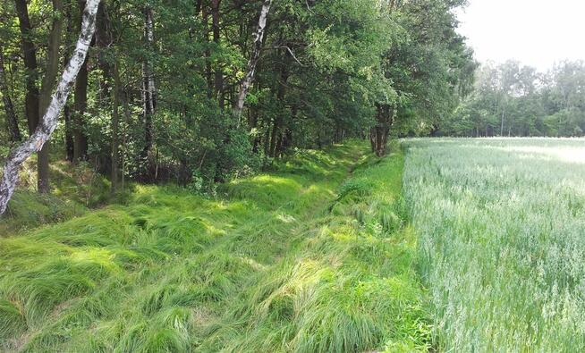 Działka budowlana Pszczyna