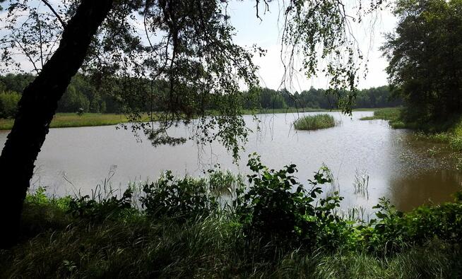 Działka budowlana Pszczyna