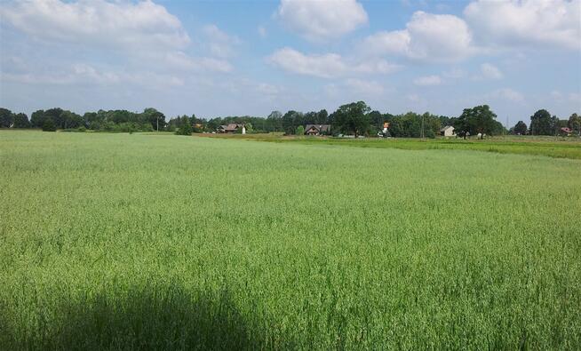 Działka budowlana Pszczyna