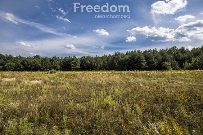 Działka budowlana | 7 WZ | Rakszawa Kąty