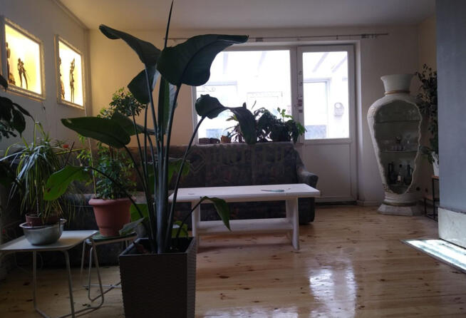 Dom wolnostojący Wrocław Wojnów