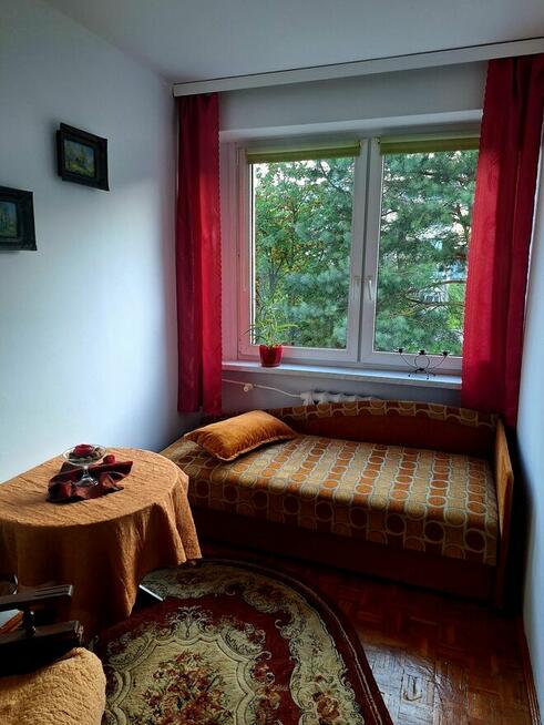 Wynajmę mieszkanie 50m w Debicy