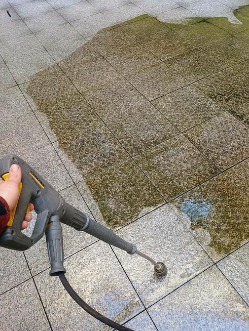 Kompleksowe ogrodnictwo, pielęgnacja i wycinka drzew