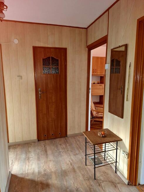 Wynajmę mieszkanie 50m w Debicy