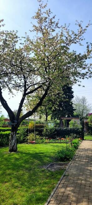 Działka ROD „SŁONECZNE WZGÓRZE” Katowice , Bogucice , ul. Os