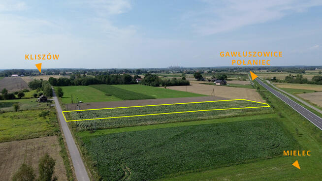 Działka budowlan 55,64 ar, WZ na 4 domy, Kliszów k. Mielca