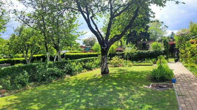 Działka ROD „SŁONECZNE WZGÓRZE” Katowice , Bogucice , ul. Os