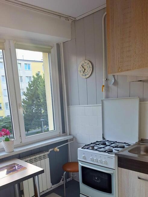 Wynajmę mieszkanie 50m w Debicy