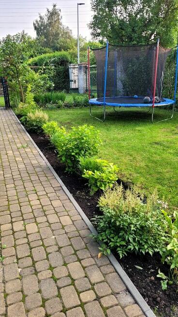 Działka ROD „SŁONECZNE WZGÓRZE” Katowice , Bogucice , ul. Os