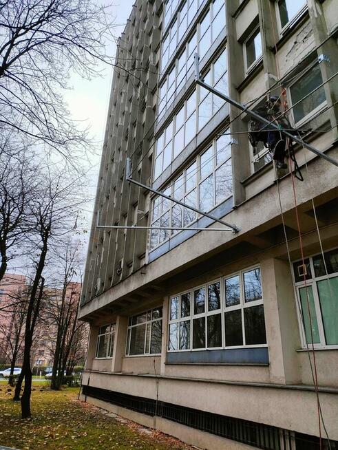 Kompleksowe ogrodnictwo, pielęgnacja i wycinka drzew