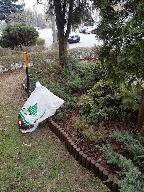 Kompleksowe ogrodnictwo, pielęgnacja i wycinka drzew