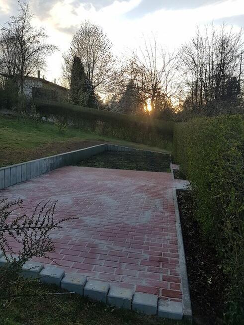 Kompleksowe ogrodnictwo, pielęgnacja i wycinka drzew