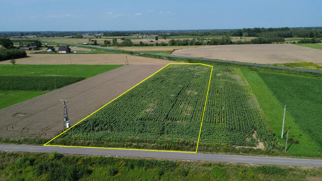 Działka budowlan 55,64 ar, WZ na 4 domy, Kliszów k. Mielca