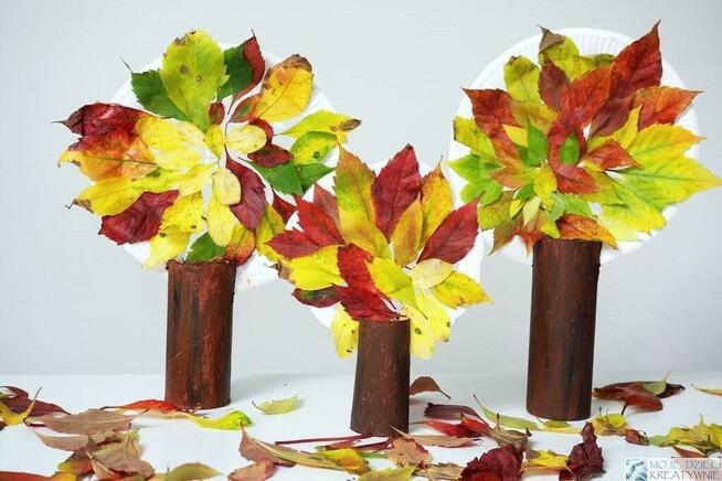 PORZĄDKI NA TERENIE