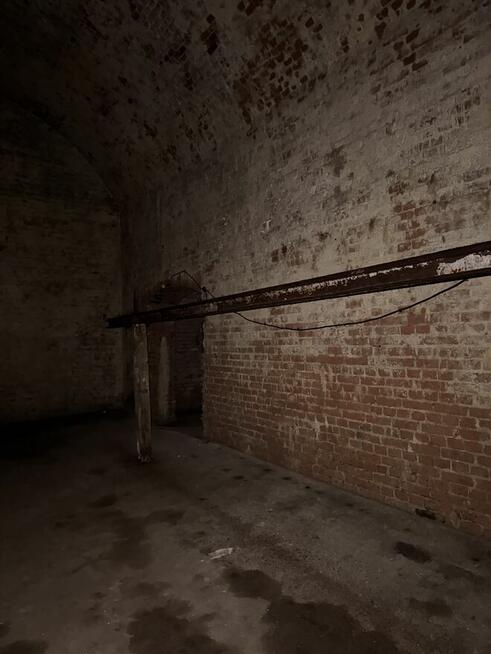 Magazyn 230 metrów do wynajęcia