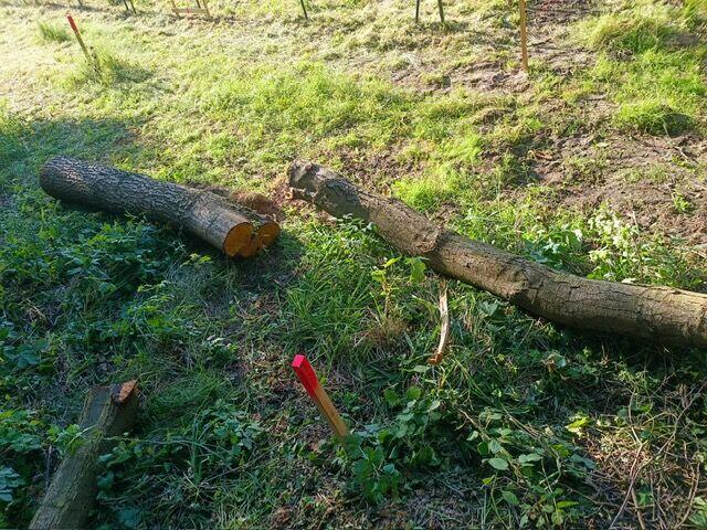 Kompleks Działek Budowlanych z dostępem do Jeziora OSTROWICK