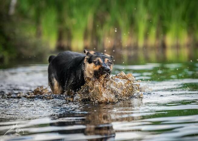 Yyy? Dlaczego ta dama wciąż jest sama? Sara szuka domku
