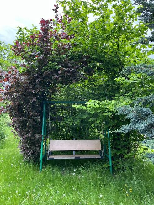 Sprzedam działkę ROD Hutnik I Stalowa Wola