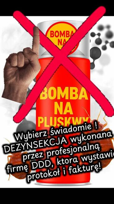 Dezynsekcja pluskiew, usuniecie karaluchów, usługi DDD Śląsk