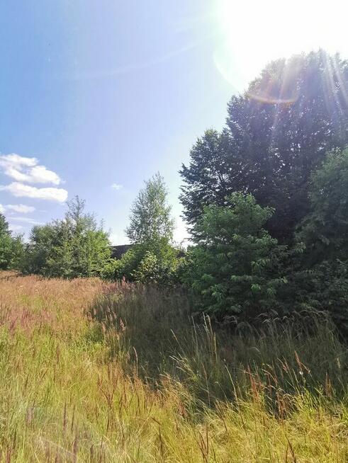 Działka R-B(rolna kl.V) z możliw.zabudowy jednorodzinnej