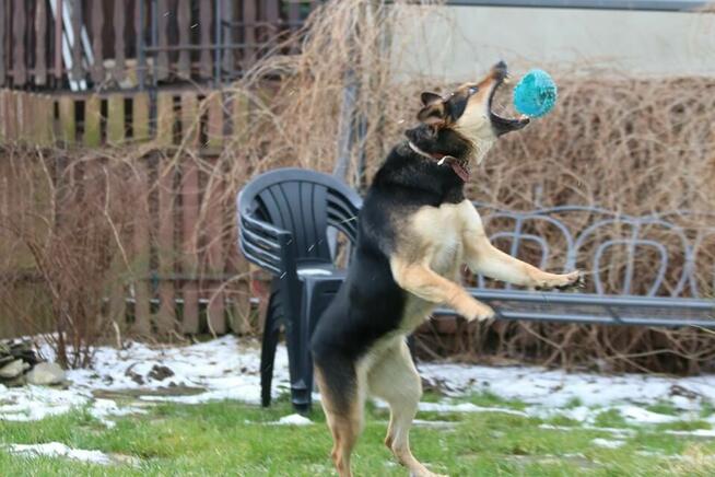 Yyy? Dlaczego ta dama wciąż jest sama? Sara szuka domku