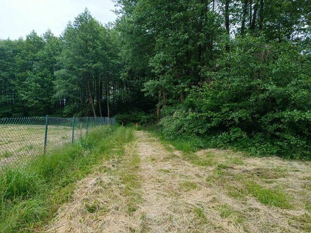 Kompleks Działek Budowlanych z dostępem do Jeziora OSTROWICK