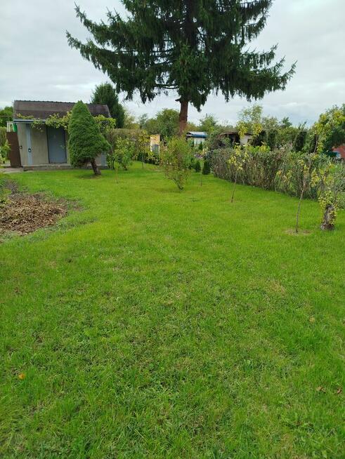 Sprzedam działkę ogrodową