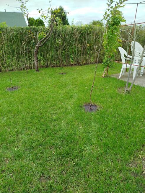 Sprzedam działkę ogrodową