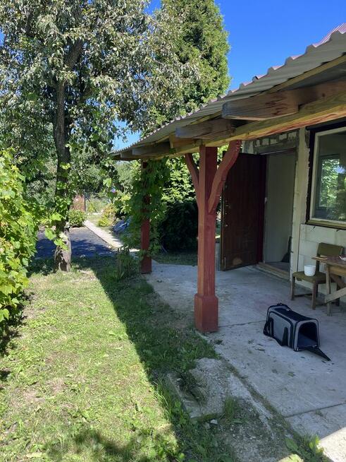 Sprzedam działkę ROD Hutnik I Stalowa Wola