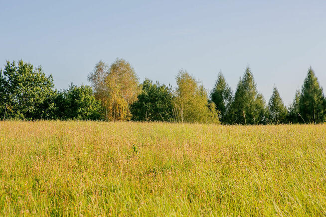 Działka widokowa Łysa Góra - gm. Dębno!