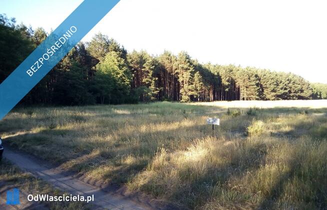 Sprzedam działki w Sosnowcu Wielkim k/Rynarzewa