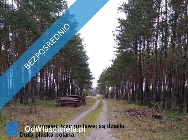 Sprzedam działki w Sosnowcu Wielkim k/Rynarzewa