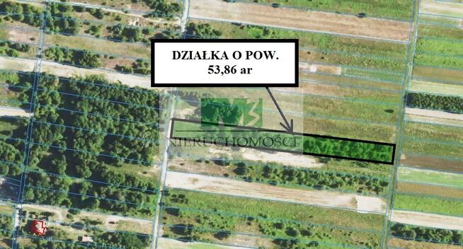 NA SPRZEDAŻ DZIAŁKI ROLNE W BRZÓZIE KRÓLEWSKIEJ