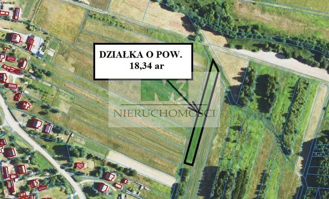 NA SPRZEDAŻ DZIAŁKI ROLNE W BRZÓZIE KRÓLEWSKIEJ