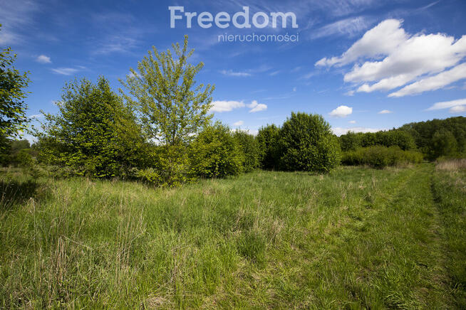 Działka 9 ar–teren zielony, Zwięczyca II, Rzeszów