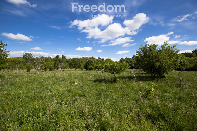 Działka 9 ar–teren zielony, Zwięczyca II, Rzeszów