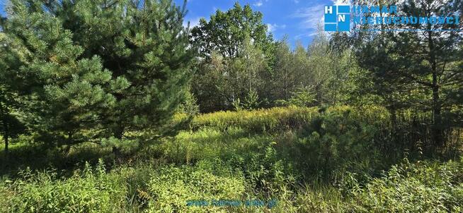 Wyjątkowa działka w Owczarni